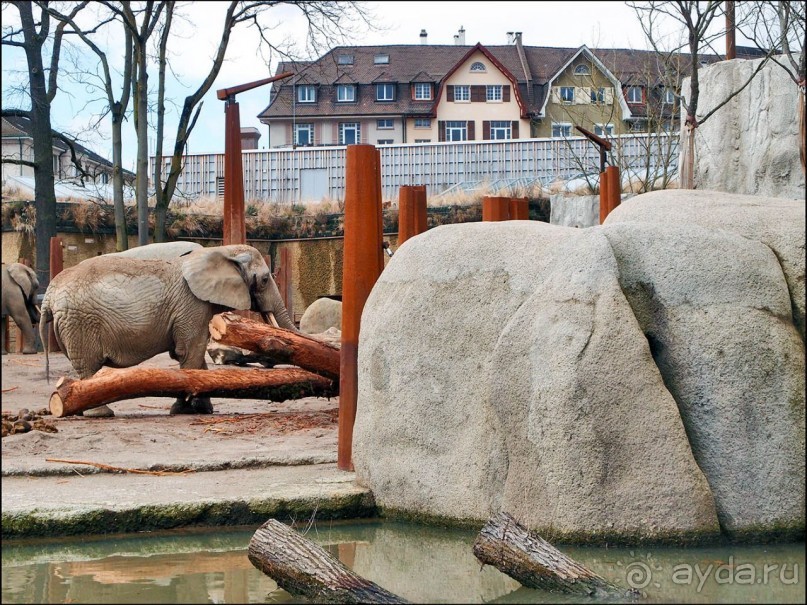 Всё, как у людей