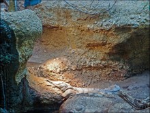 Всё, как у людей