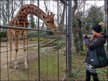 Всё, как у людей