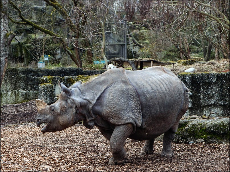 Всё, как у людей