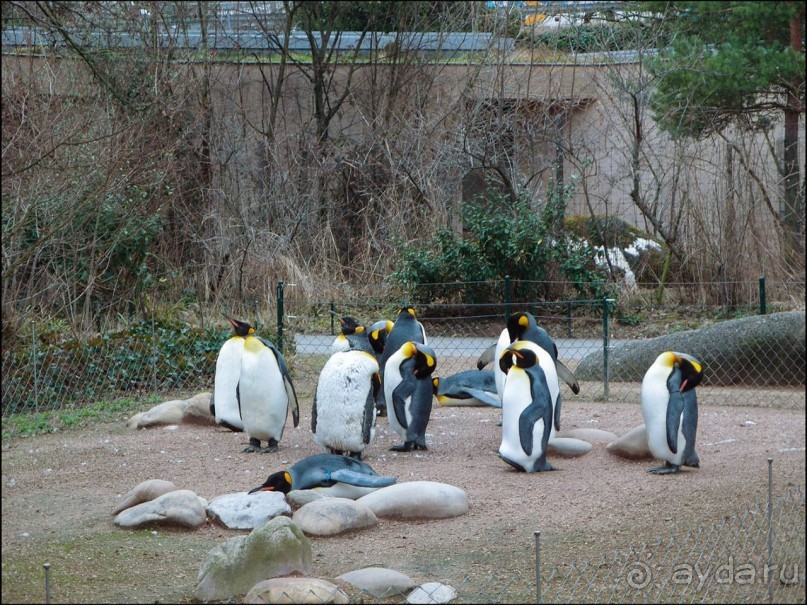 Всё, как у людей
