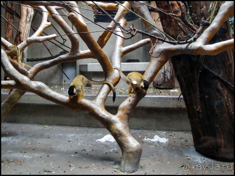 Всё, как у людей