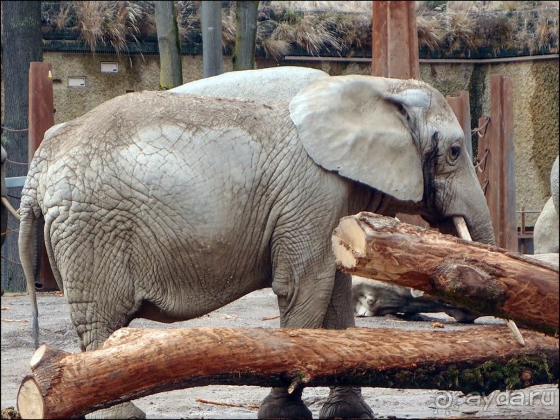 Всё, как у людей
