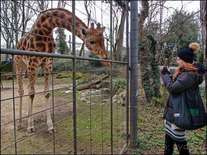 Всё, как у людей