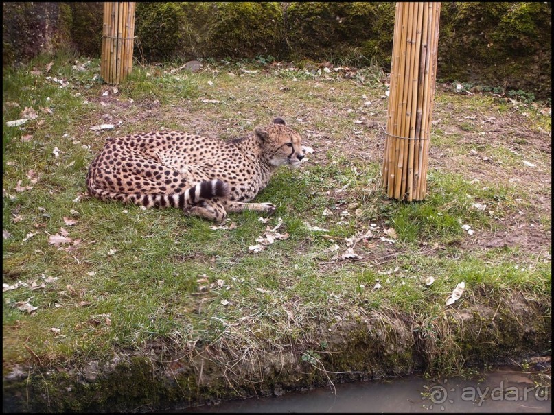 Всё, как у людей