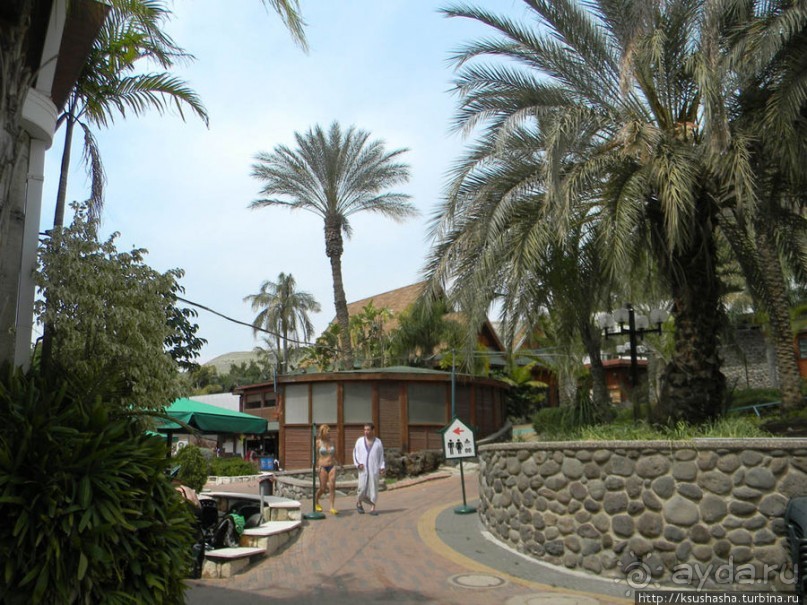 Горячие источники и крокодилы на берегу Кинерета