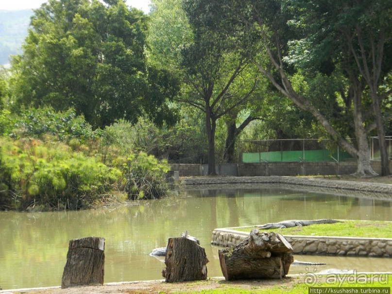 Горячие источники и крокодилы на берегу Кинерета