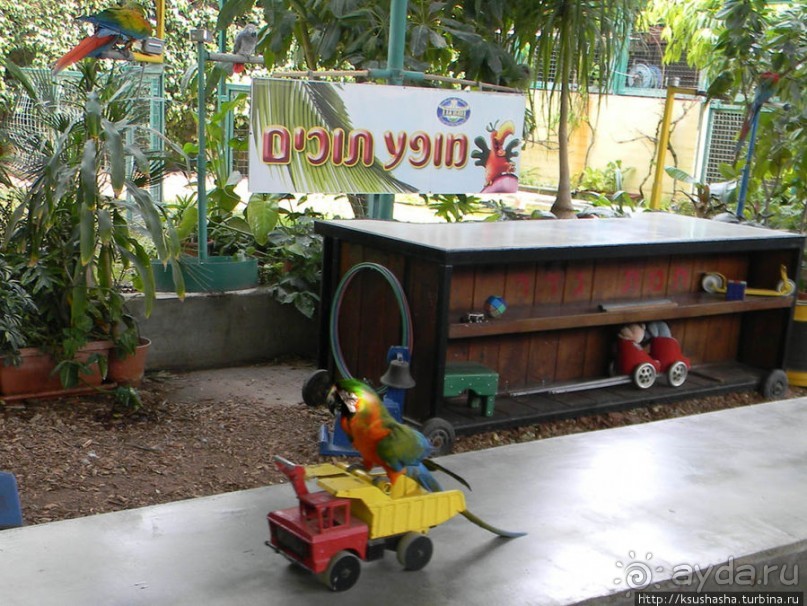 Горячие источники и крокодилы на берегу Кинерета