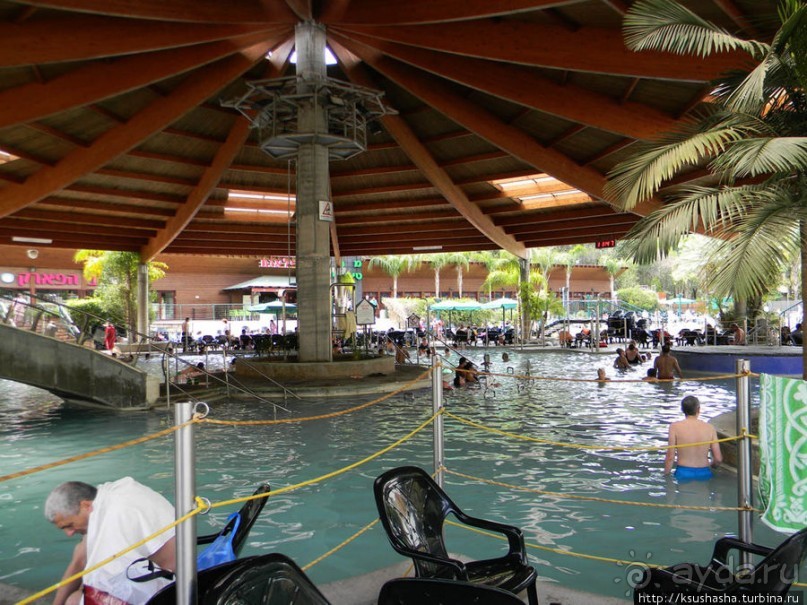 Горячие источники и крокодилы на берегу Кинерета