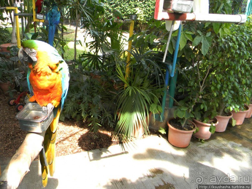 Горячие источники и крокодилы на берегу Кинерета