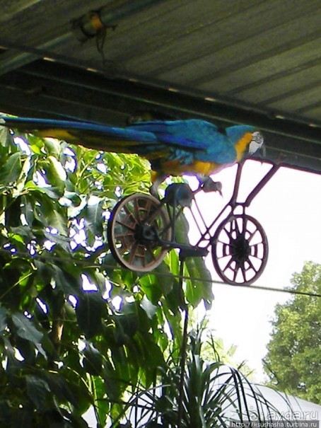 Горячие источники и крокодилы на берегу Кинерета