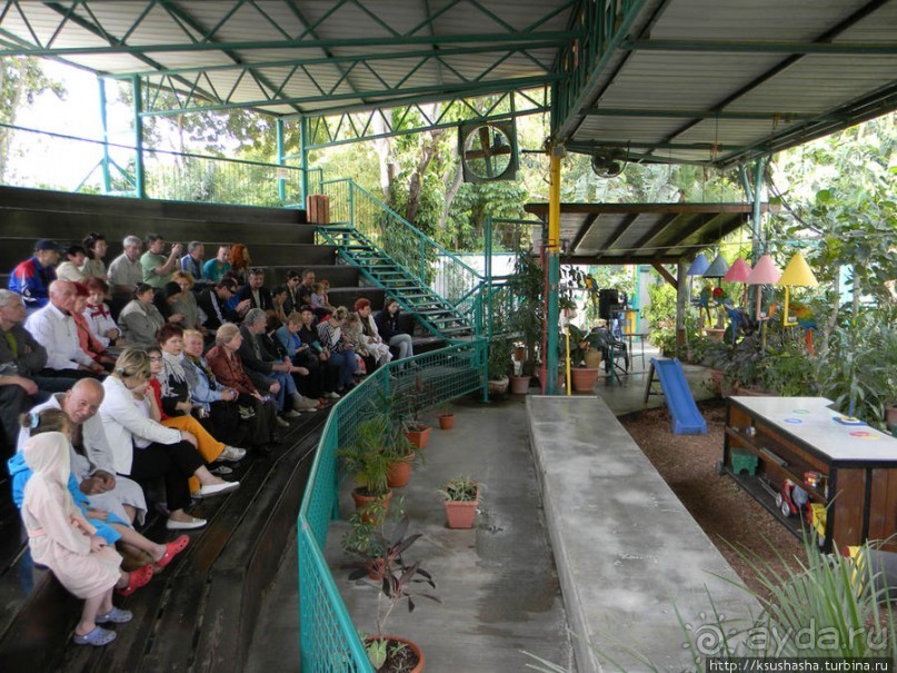 Горячие источники и крокодилы на берегу Кинерета