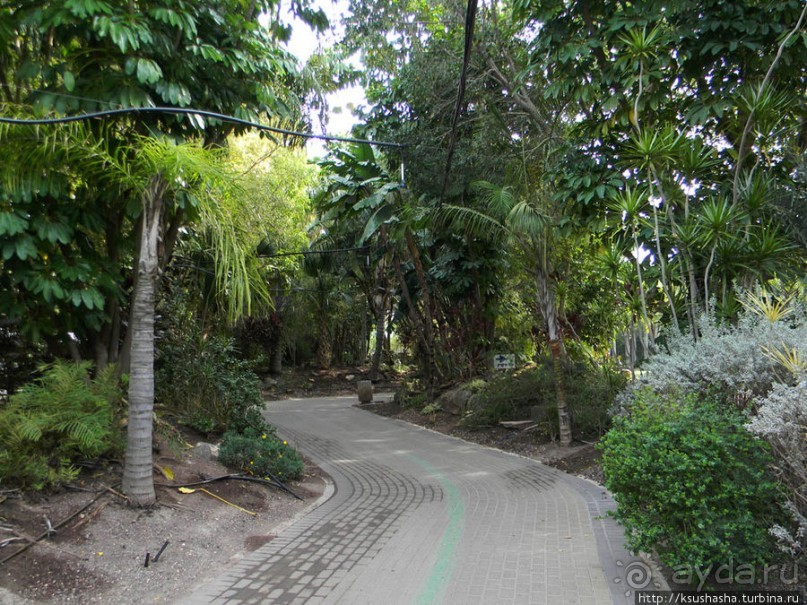 Горячие источники и крокодилы на берегу Кинерета