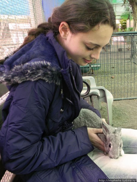 Горячие источники и крокодилы на берегу Кинерета