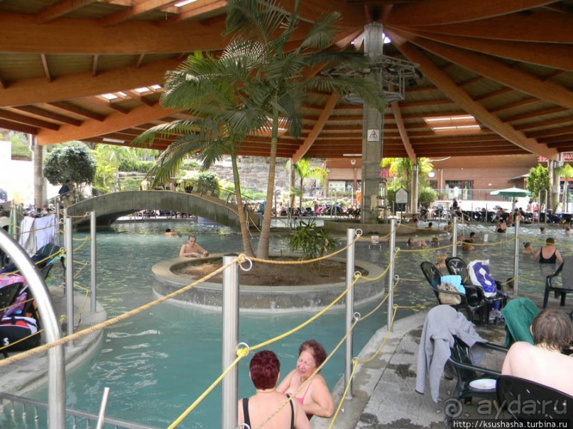 Горячие источники и крокодилы на берегу Кинерета