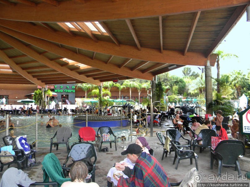 Горячие источники и крокодилы на берегу Кинерета