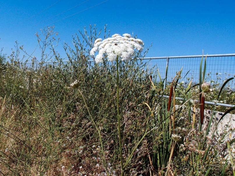 Из Греции в Македонию. Первые впечатления. Битола