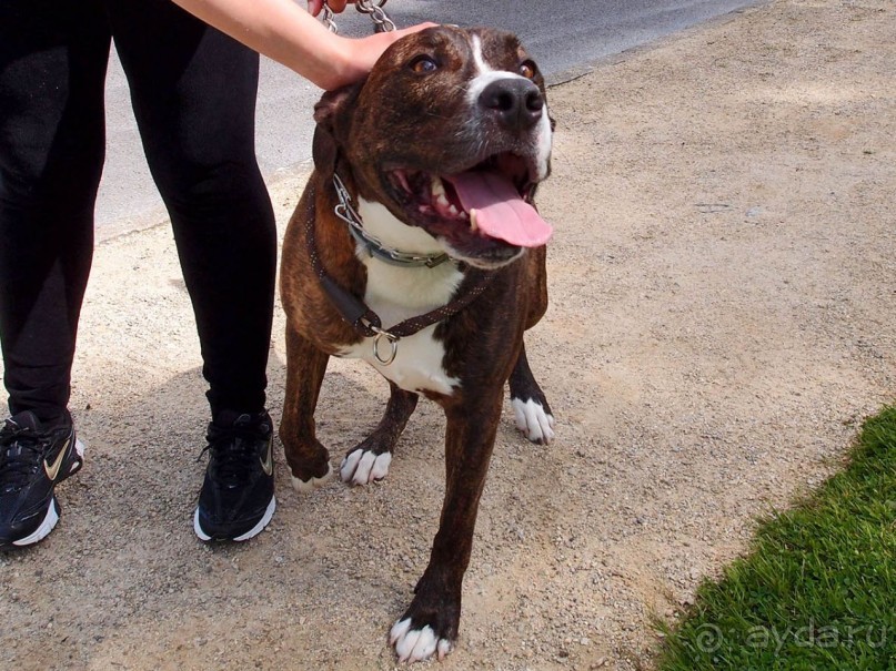 Прогулка в парке Лакен