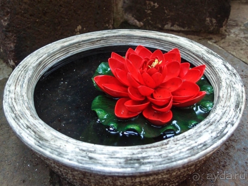 Ла Оротава. С корабля на бал