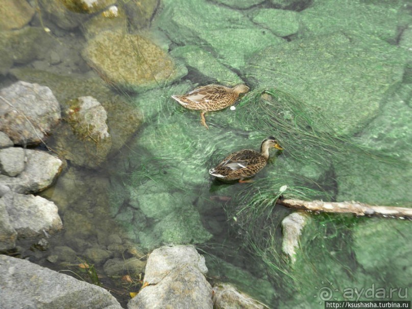 Вниз по течению