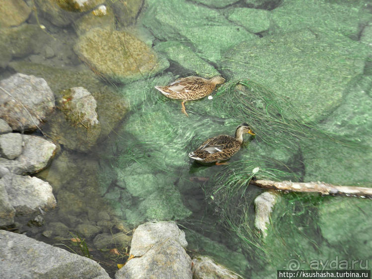 Вниз по течению