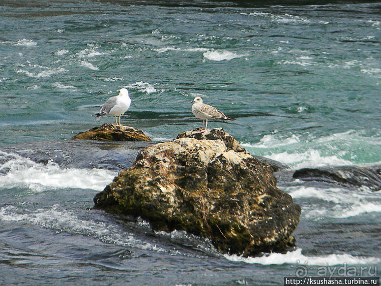Вниз по течению