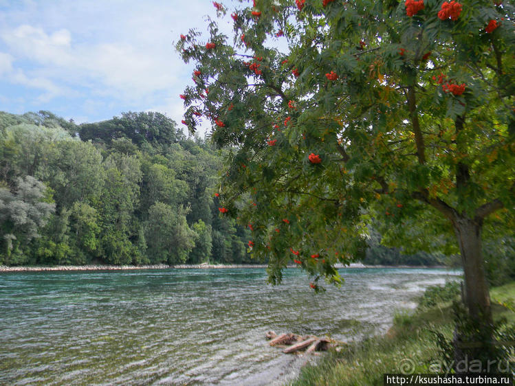 Вниз по течению
