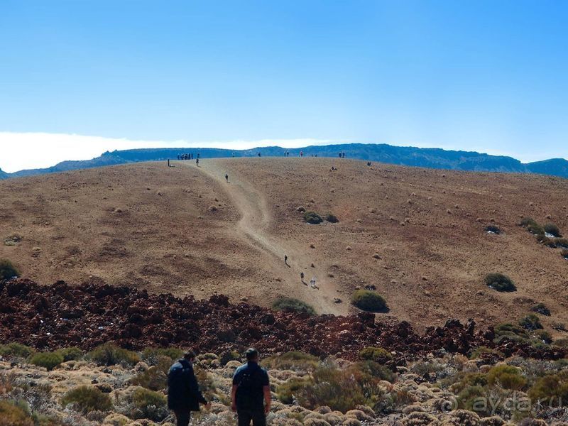 Времена года в парке Тейде 