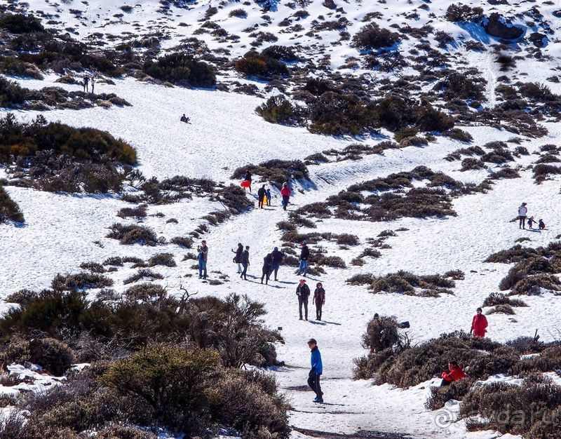 Времена года в парке Тейде 