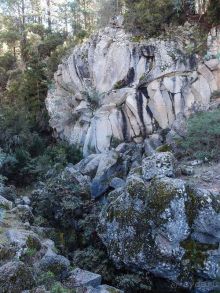 Времена года в парке Тейде 