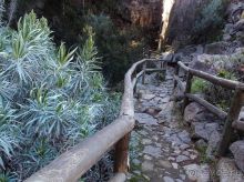 Времена года в парке Тейде 