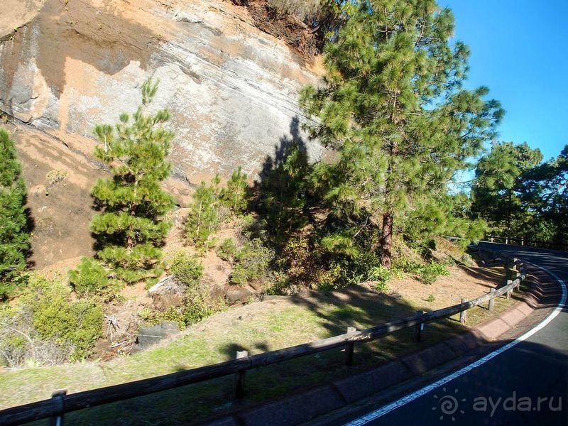 Времена года в парке Тейде 