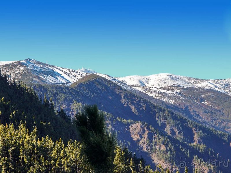 Времена года в парке Тейде 