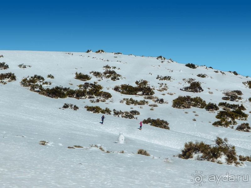 Времена года в парке Тейде 