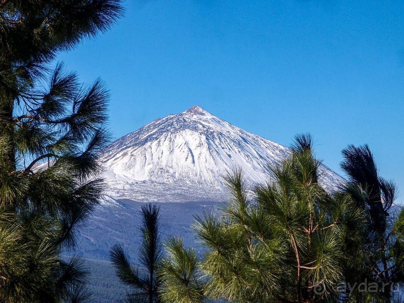 Времена года в парке Тейде 