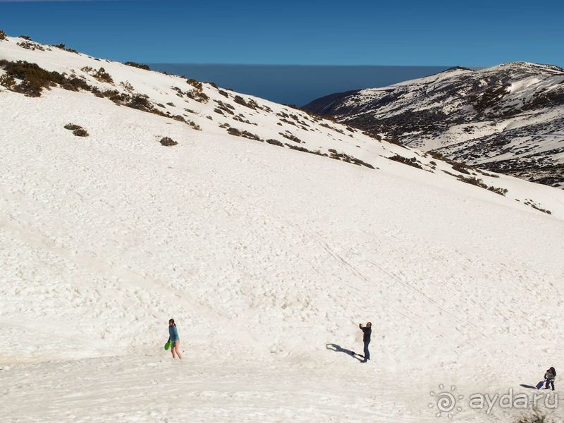 Времена года в парке Тейде 