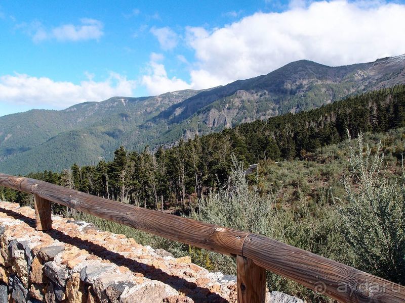 Времена года в парке Тейде 