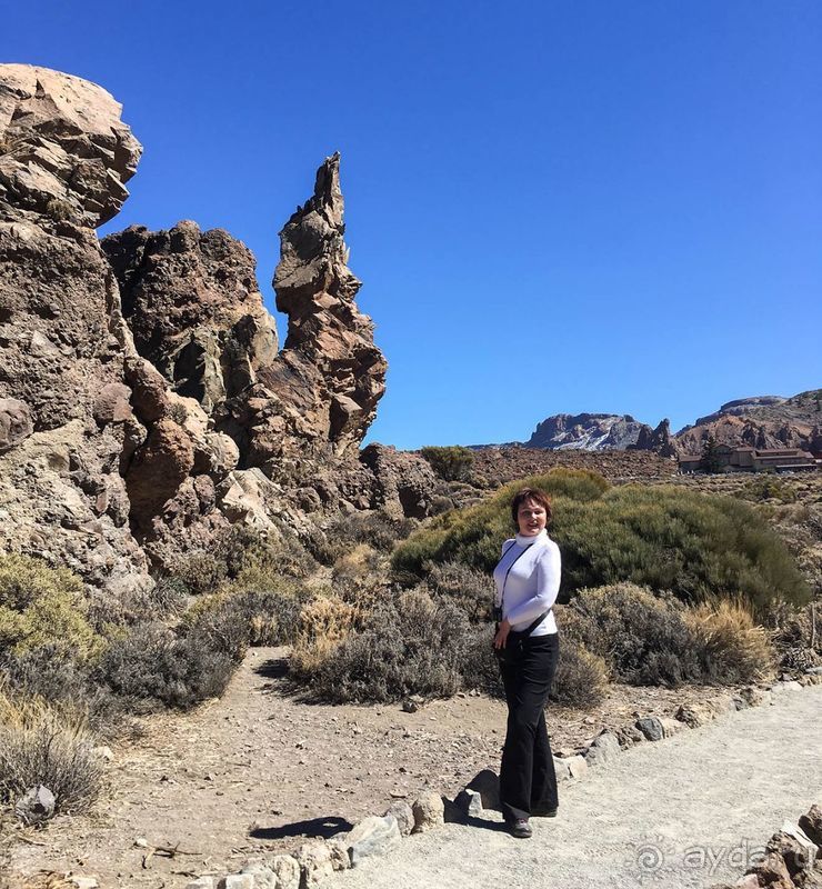 Времена года в парке Тейде 