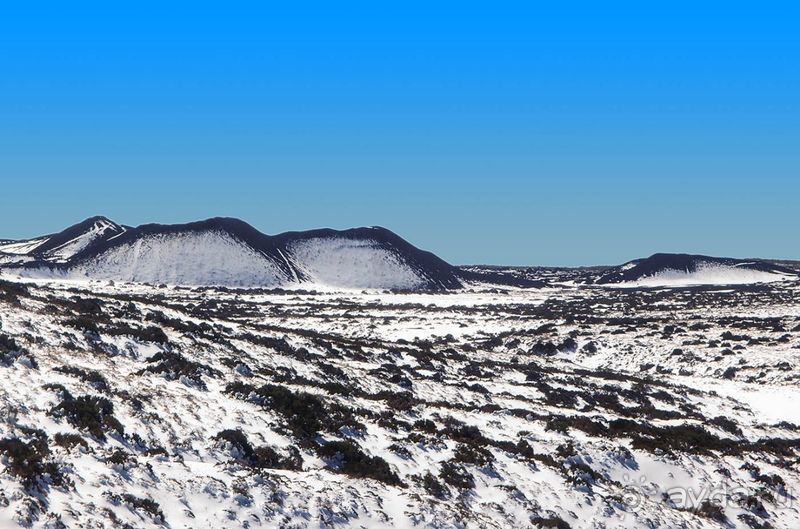 Времена года в парке Тейде 