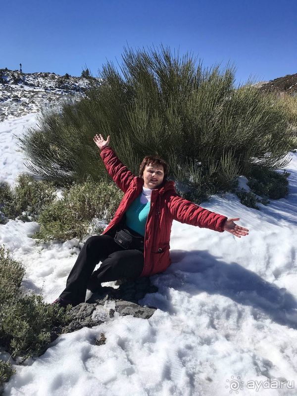 Времена года в парке Тейде 