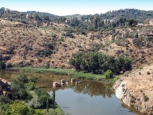 Навсегда королевский Толедо