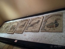 Взятие Палео-Фрурио