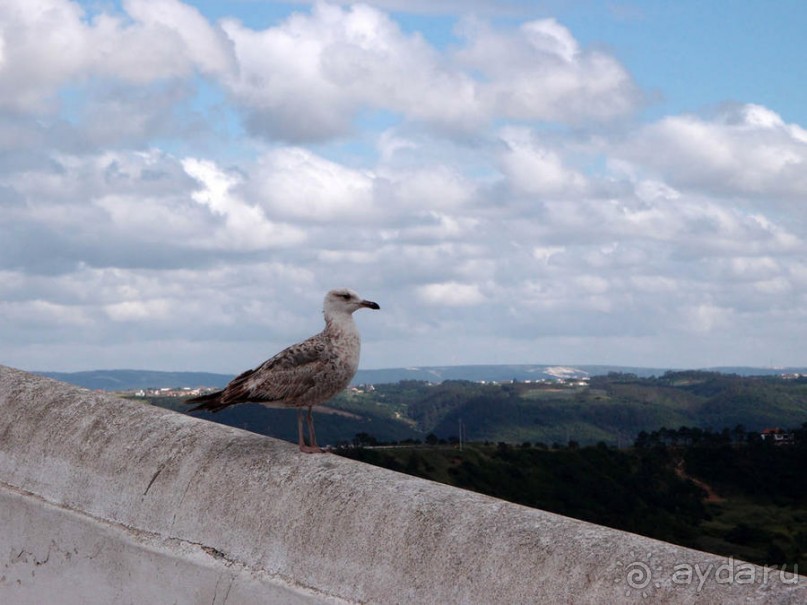 Рыбацкий и христианский Назаре