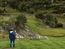 Овечий бизнес