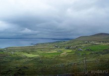 Овечий бизнес