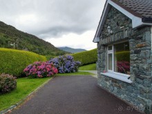 Овечий бизнес