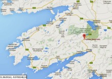 Овечий бизнес