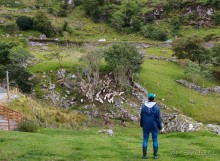 Овечий бизнес