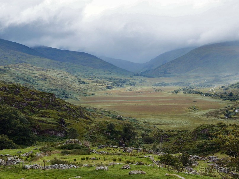 Овечий бизнес