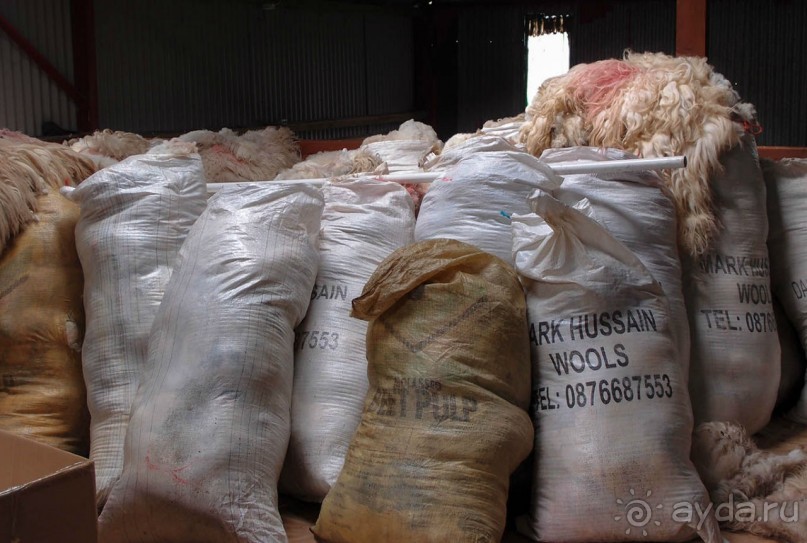 Овечий бизнес